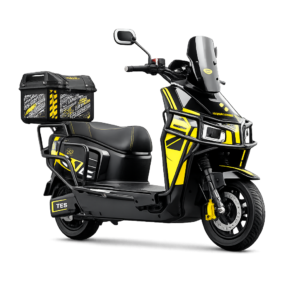 DGS1 Electric Scooter