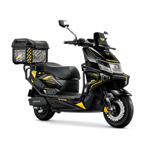 DGS3 Electric Scooter