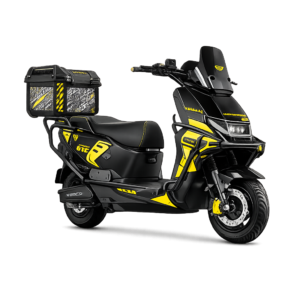 DGS6 Electric Scooter